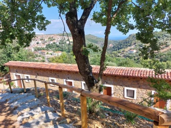 Bed & Breakfast Il Sogno Di Teresa Camerota